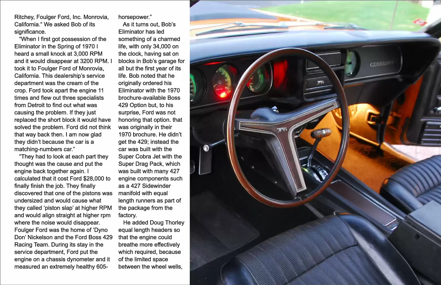 Legendary Cougar: Demo Page 8