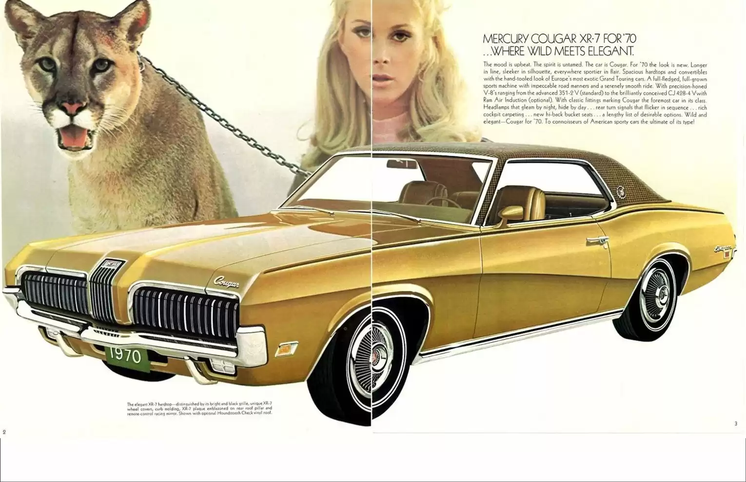 Legendary Cougar: Demo Page 11